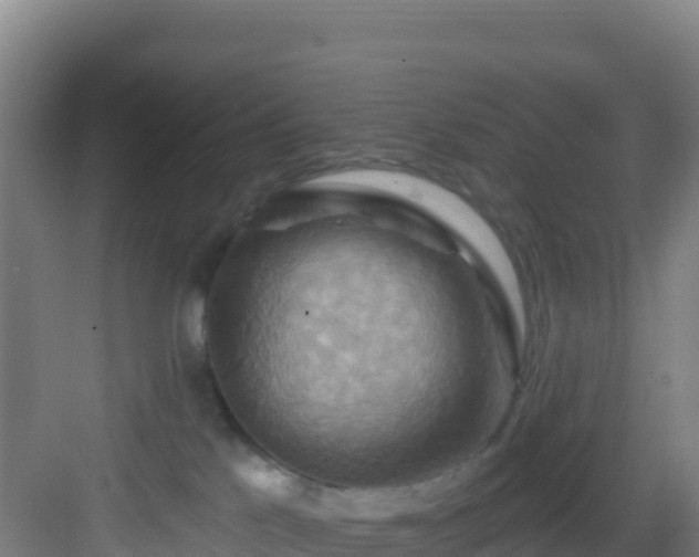 X0000083040041200702091420