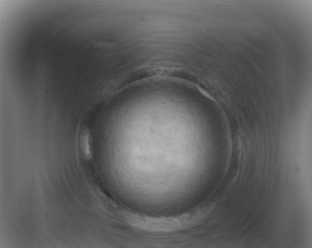 X0000083040042200702091420