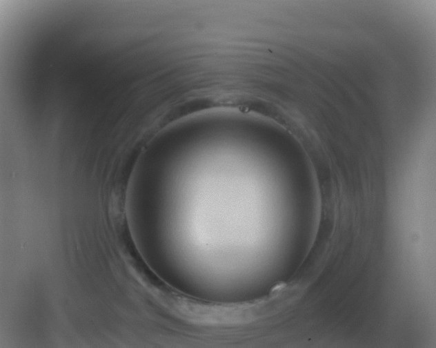 X0000083040044200702091420