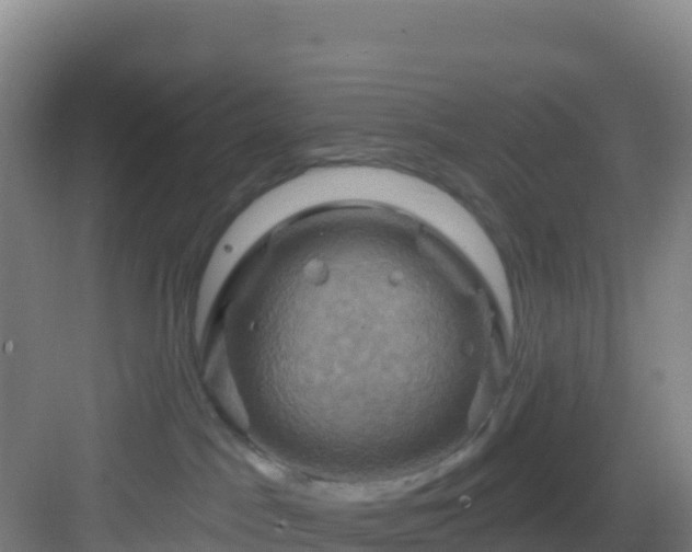 X0000083040045200702091420