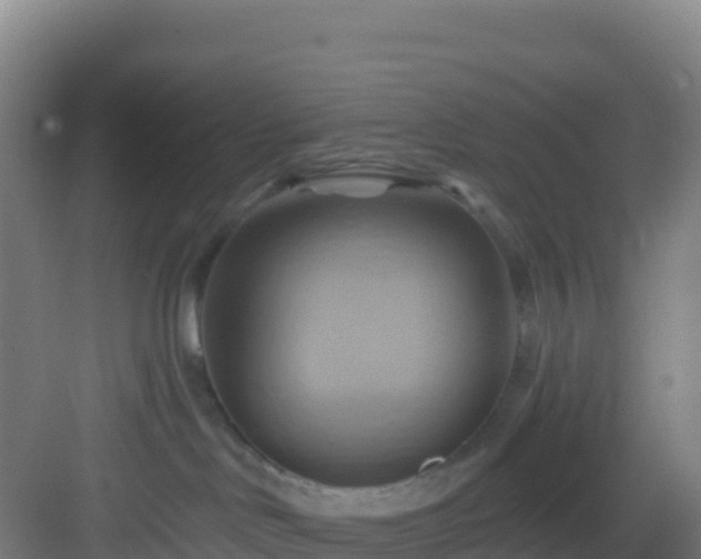 X0000083040046200702091420