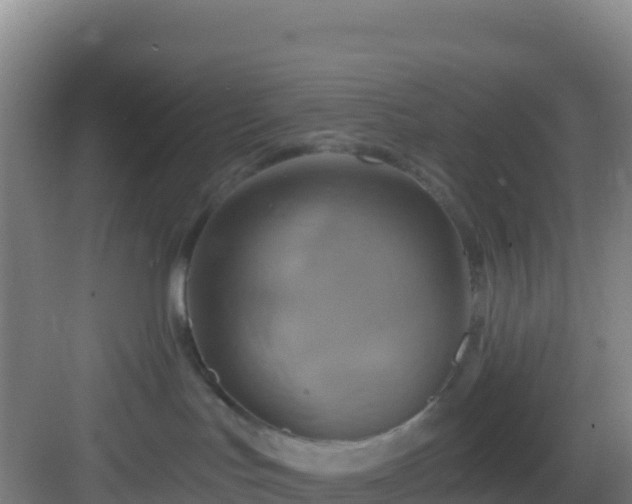 X0000083040047200702091420