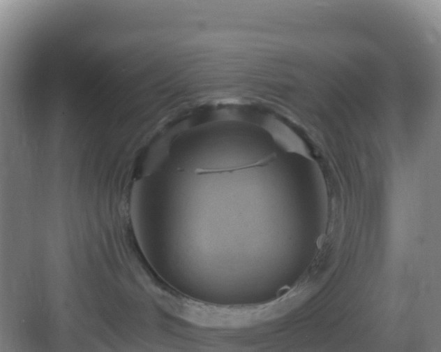 X0000083040048200702091420