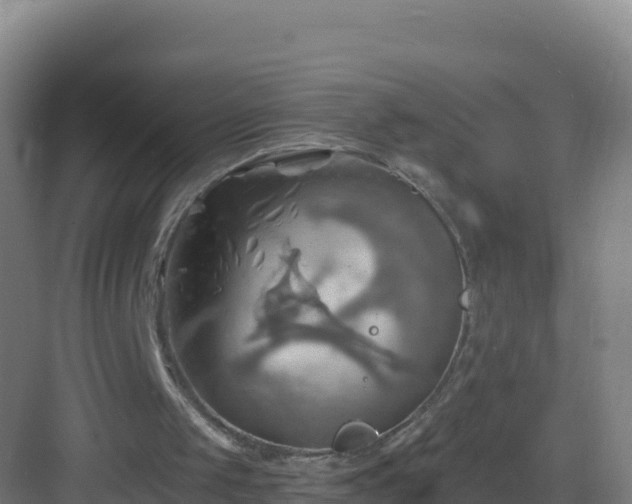 X0000083040049200702091419