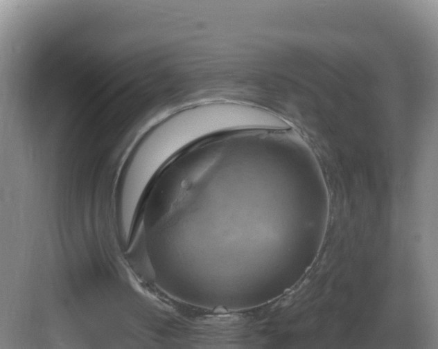 X0000083040050200702091419