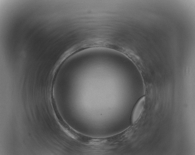 X0000083040051200702091419