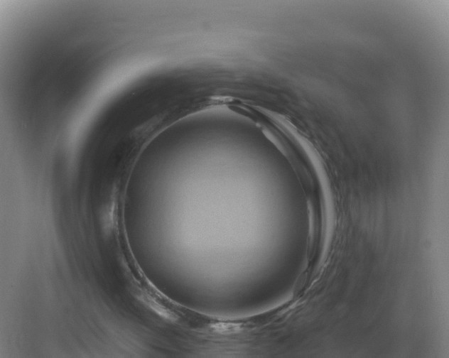 X0000083040052200702091419