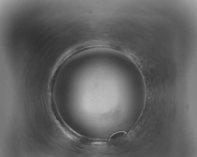 X0000083040053200702091419