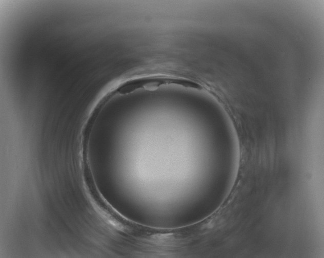 X0000083040054200702091419