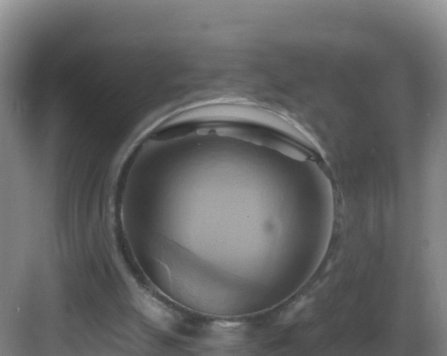 X0000083040055200702091419