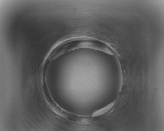 X0000083040056200702091419