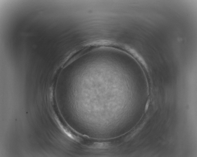 X0000083040057200702091419