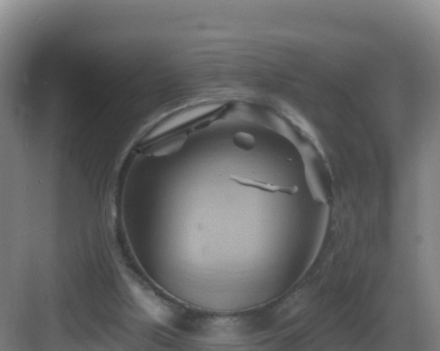 X0000083040059200702091419