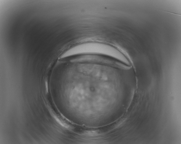 X0000083040061200702091419