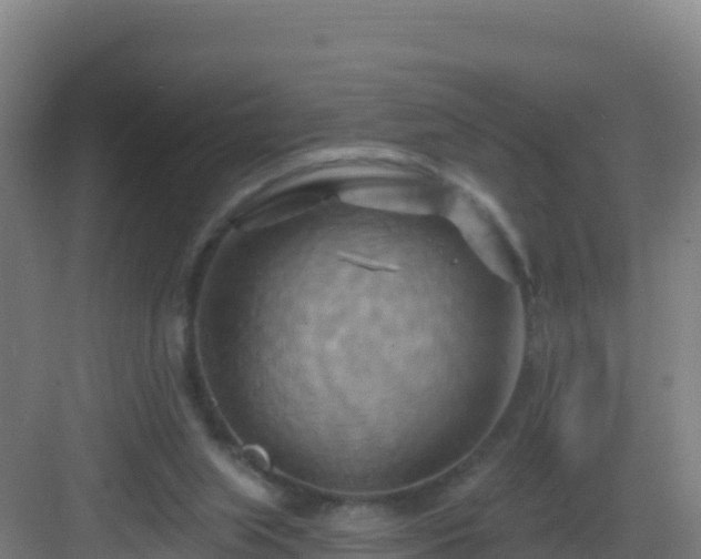 X0000083040063200702091419