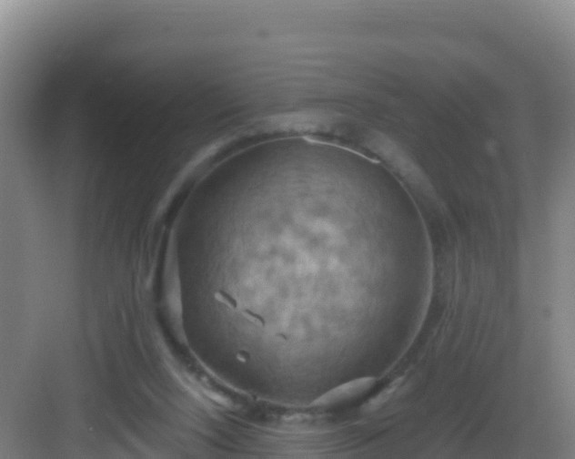 X0000083040064200702091419