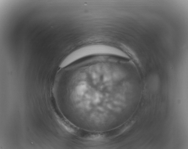 X0000083040065200702091419