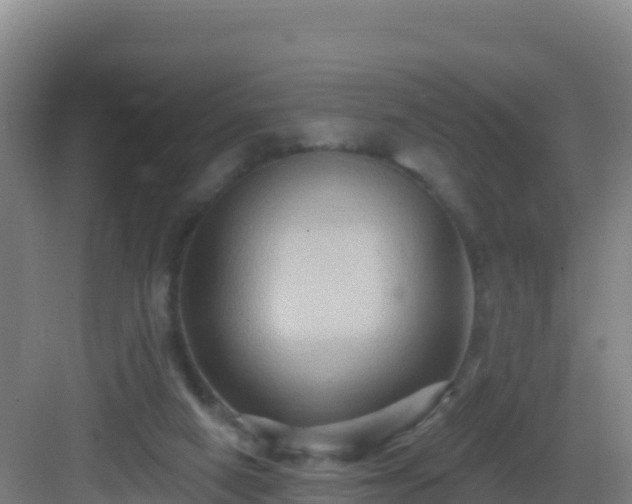 X0000083040066200702091419