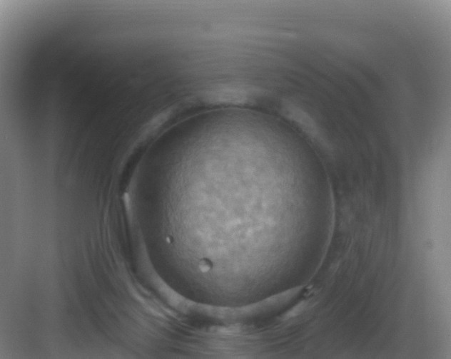 X0000083040068200702091420