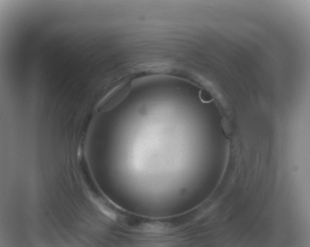 X0000083040069200702091420