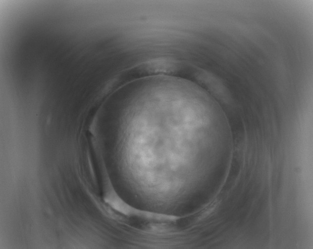 X0000083040070200702091420