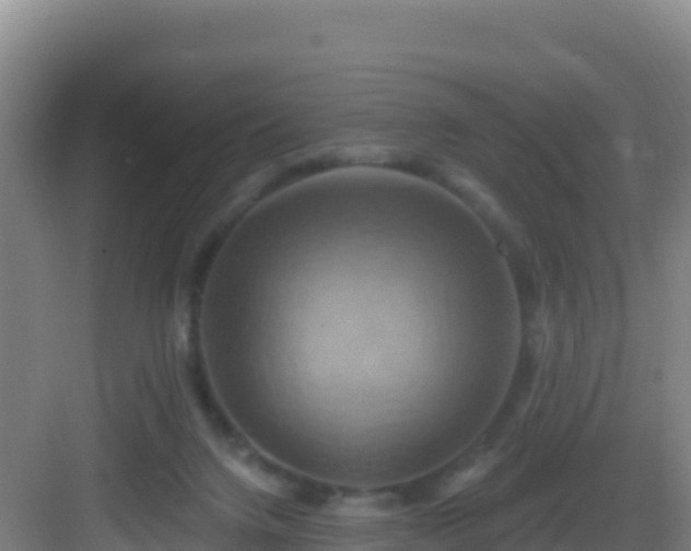 X0000083040072200702091420