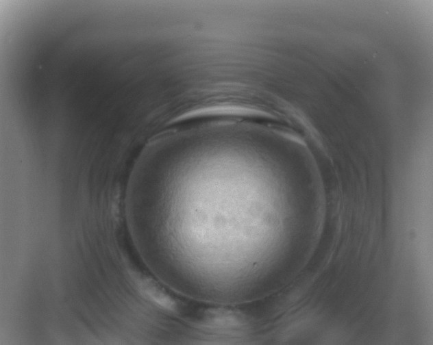 X0000083040073200702091420