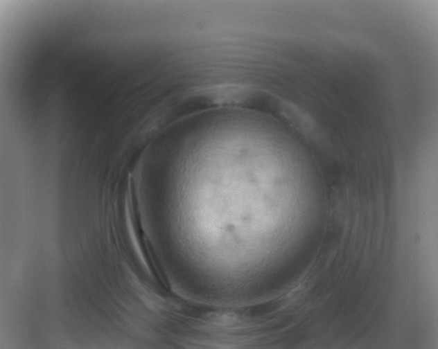 X0000083040074200702091420