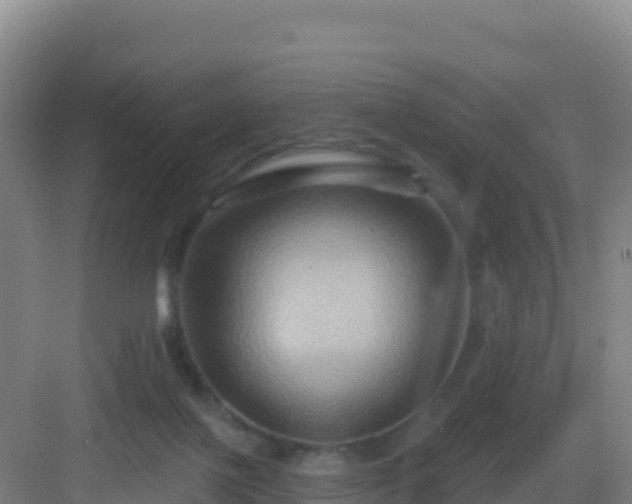 X0000083040075200702091420