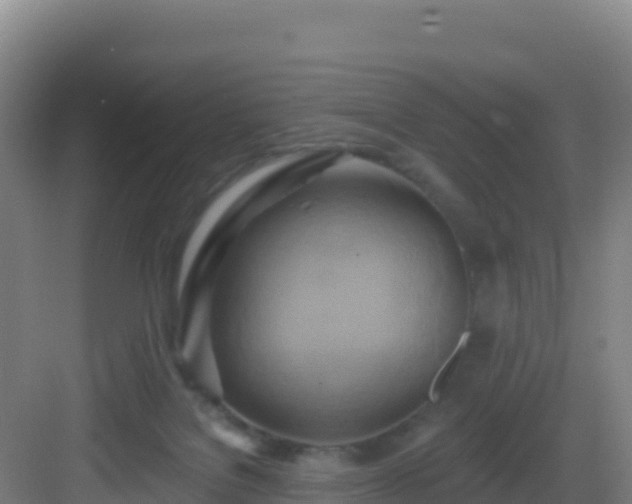 X0000083040076200702091420