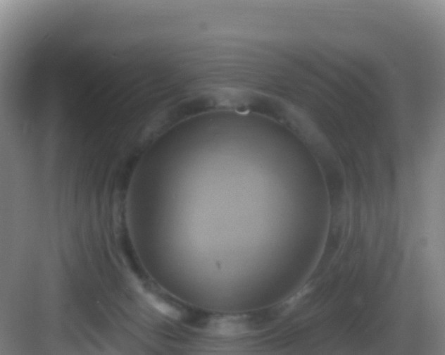 X0000083040078200702091420