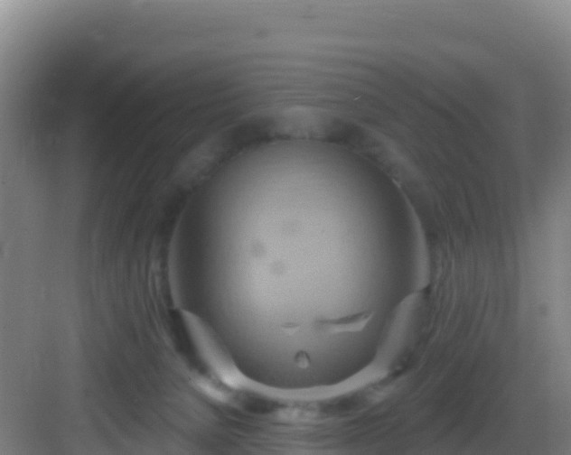 X0000083040080200702091420