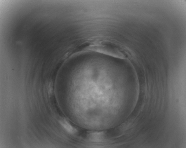 X0000083040081200702091420