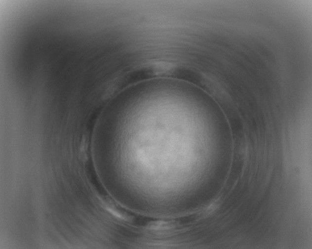 X0000083040082200702091420