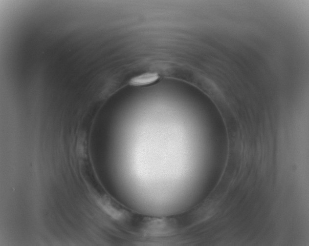 X0000083040083200702091420