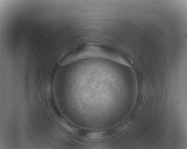 X0000083040084200702091420