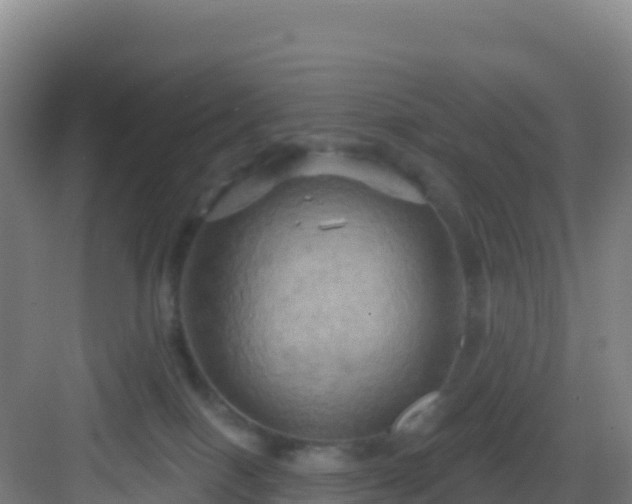 X0000083040086200702091420