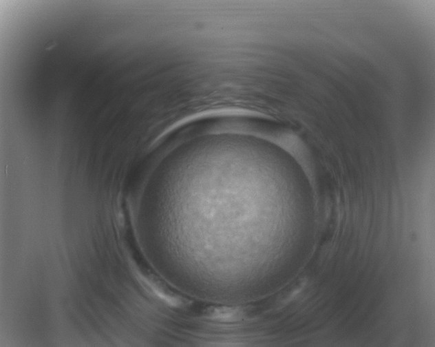 X0000083040088200702091420