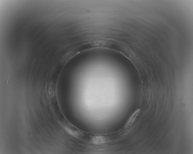 X0000083040091200702091420