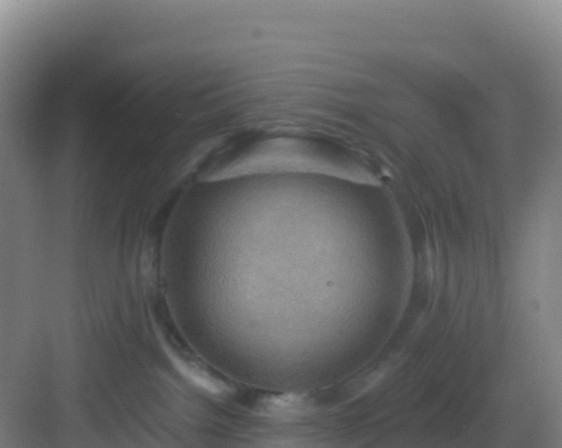 X0000083040092200702091420