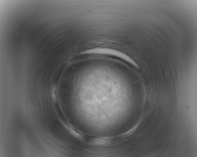 X0000083040094200702091420