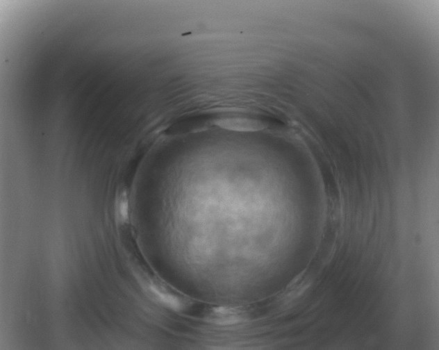 X0000083040095200702091420