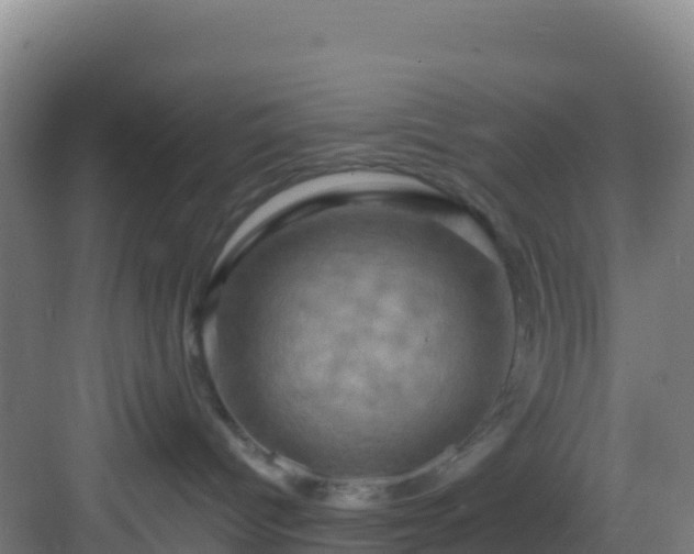 X0000083040096200702091420