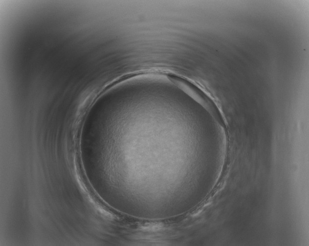 X0000083040097200702091419