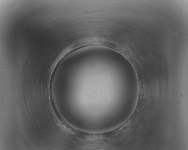 X0000083040099200702091419