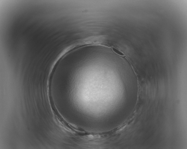 X0000083040100200702091419