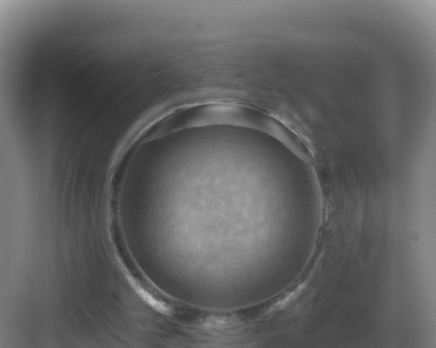 X0000083040101200702091419