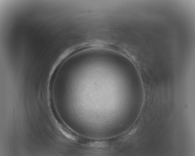 X0000083040102200702091419