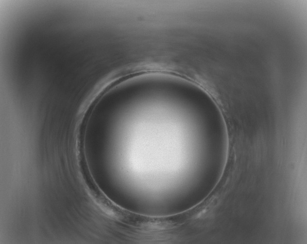 X0000083040103200702091419