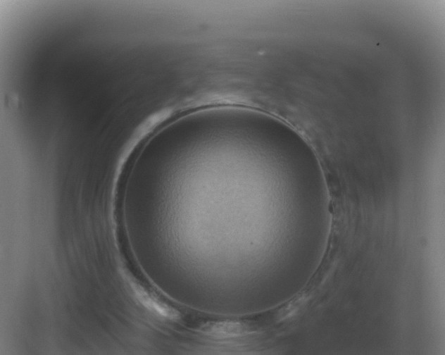 X0000083040104200702091419